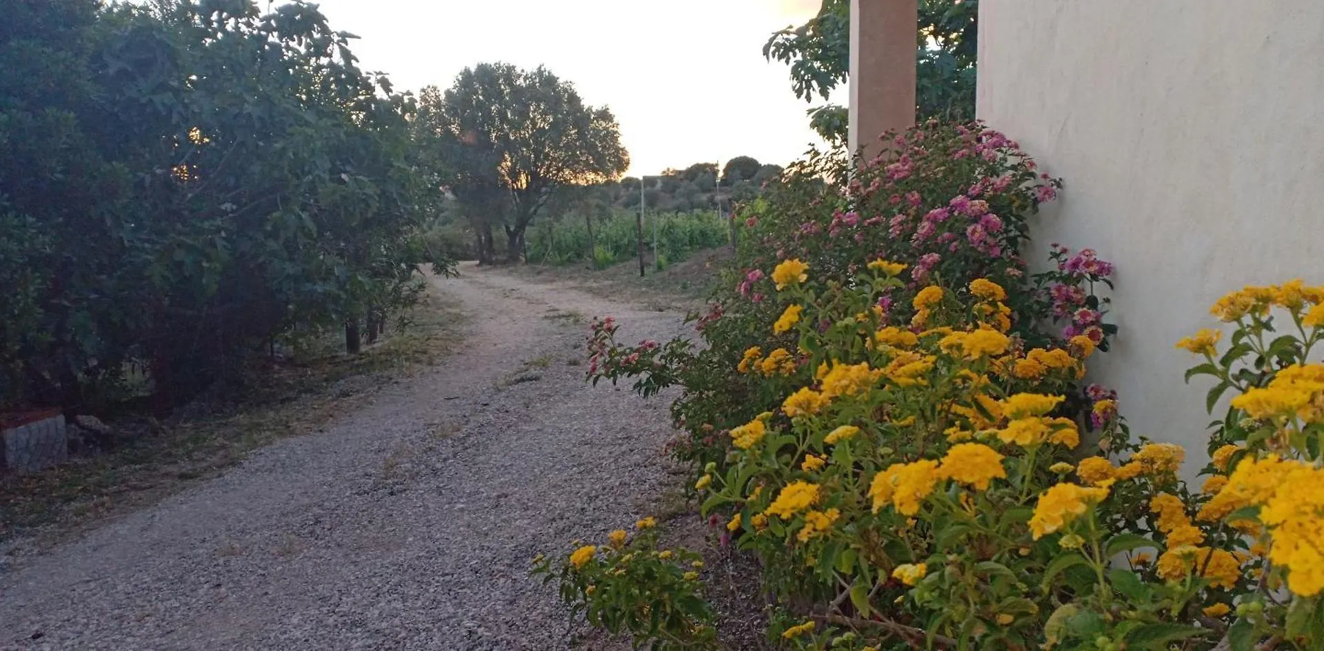 Agriturismo Muristene Villa Dorgali Italy