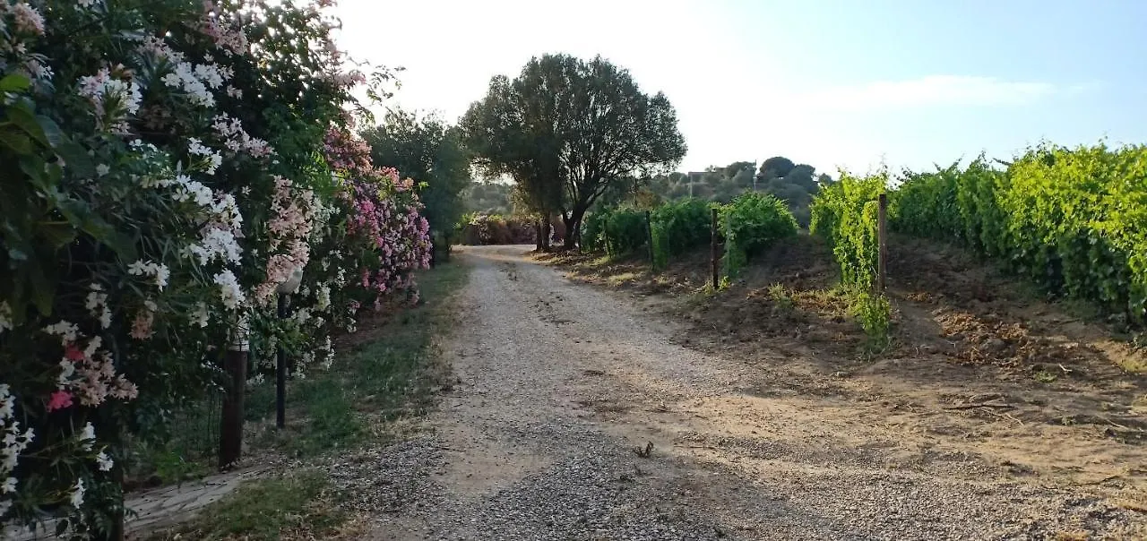 Agriturismo Muristene Villa Dorgali Italy